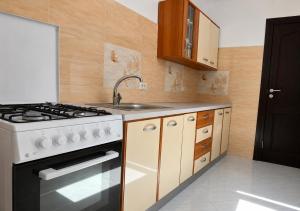 a kitchen with a stove and a sink at Vila Rin in Mangalia