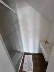 a shower with a glass door in a bathroom at Home cinema in Liège +16 photos