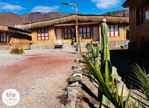 a building with a cactus in front of it at Cabañas nuevas La Peña in Taltal