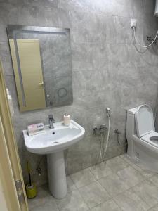 a bathroom with a sink and a mirror and a toilet at شقة غرفتين وصالة in Musaylah