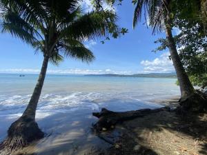 a beach with two palm trees and the ocean at Studio confort Uvita in Uvita