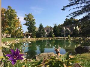 a deer in the middle of a pond in a yard at Spruce Hill Inn & Cottages in Mansfield