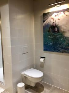 L'Ours Blanc Lodge的一间浴室