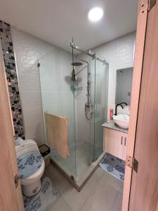 a bathroom with a shower and a toilet and a sink at Alojamiento in Ibarra