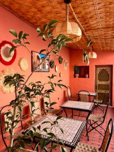 a patio with tables and chairs and a plant at Riad Maison Eden in Rabat