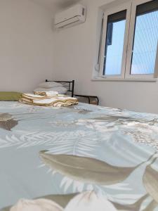 Gallery image of Zorica Guest Rooms in Jakovo
