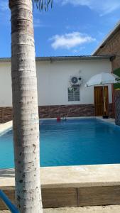 a swimming pool with a palm tree next to a house at Mary Patsy House in Puerto López