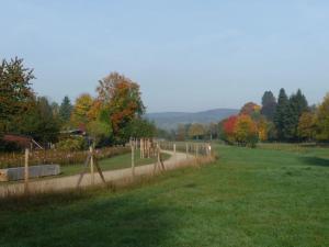 a grassy field with a fence in a park at Trade fair and holiday accommodation in Oberursel