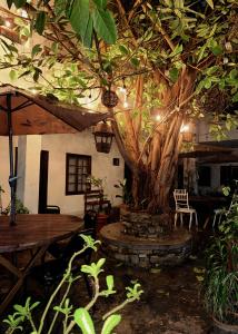 a patio with a tree and a table and a chair at Hotel Puerta de Jade in Ciudad Valles