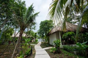 a path leading to a house with palm trees at Mango Home in Ben Tre