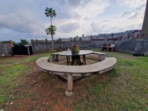 a stone table in a field with a tree at My stay in Yaoundé