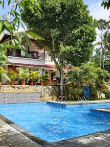 a swimming pool in front of a building at Royal Heaven Wayanad in Ambalavayal