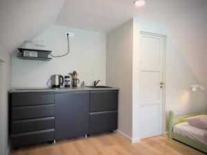 a kitchen with a counter and a sink in a room at Lejnieki Apartment 4 in Pape