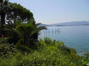 Φυσικό τοπίο κοντά σε αυτό το διαμέρισμα