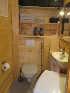 a bathroom with a toilet and a sink at Villa Visioduuri in Savonlinna +30 photos