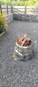a fire pit in the middle of the ground at Les Camélias in Le Tampon