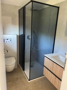a bathroom with a shower with a toilet and a sink at Olive Garden Studio in Izola