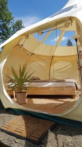 a tent with a potted plant sitting inside of it at Old Mill Glamp in Kozov