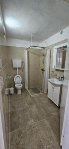 a bathroom with a toilet and a shower and a sink at Apartmani MAS in Dobra Voda +81 photos