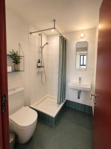a bathroom with a toilet and a shower and a sink at Maison Bruxelles in Brussels