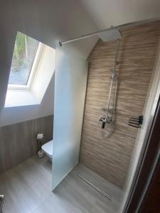 a bathroom with a shower with a glass door at Cabana Casa Luca in Rănuşa +56 photos