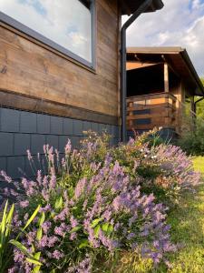 a garden with purple flowers in front of a house at Bungalouri Olanesti in Băile Olăneşti