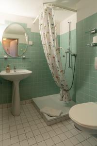 a bathroom with a shower and a sink and a toilet at Hotel Du Lac in Därligen +30 photos