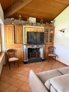 a living room with a fireplace and a tv at Executive Lake View with Private Garden in Lugano