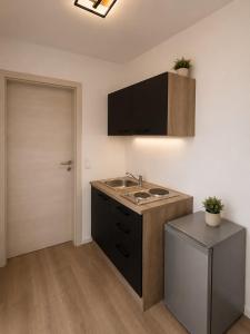 a kitchen with a sink and a counter top at Schuster's Apartments in Augsburg