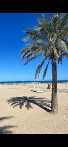 a palm tree on a beach with a bench at Benning Haus Gandia in Gandía