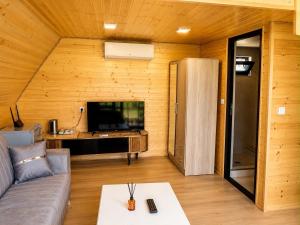 a living room with a couch and a television at Cappadociagarden in Kutaisi