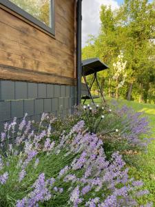 a garden with purple flowers next to a building at Bungalouri Olanesti in Băile Olăneşti
