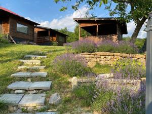 a stone path in front of a log cabin at Bungalouri Olanesti in Băile Olăneşti