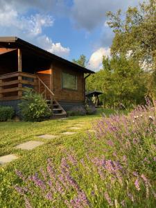 a log cabin with a garden and flowers at Bungalouri Olanesti in Băile Olăneşti