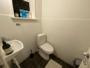 a bathroom with a white toilet and a sink at Cozy & Private House in Roslev +3 photos