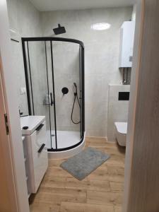a bathroom with a shower and a sink and a toilet at Bursztynowy Horyzont Śliwin obok Rewal , Pobierowo in Śliwin
