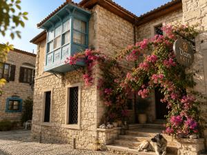 Ein Hund liegt vor einem Gebäude mit Blumen in der Unterkunft D'core Alacati in Cesme