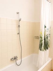 a bathroom with a shower and a tub with a plant at NUMBR25 - self service & low budget Hotel in Graz +16 photos