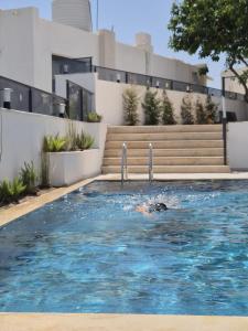 a dog swimming in a swimming pool in front of a building at Lumy Suite Hotel Bodrum Gumbet - Private Pool in Bodrum City +3 photos