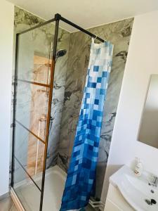 a bathroom with a shower and a sink at Casa Moroseneasca Breb in Breb +73 photos