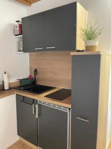 a kitchen with a sink and a counter top at Garten Oase Weisweil in Weisweil