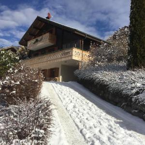 冬天的L'Ours Blanc Lodge
