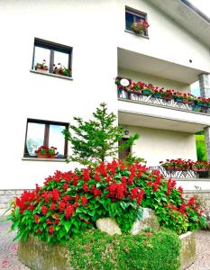 a white building with red flowers in front of it at La Farfalla B&B - Mark&Rosy in Malonno