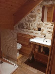 a bathroom with a sink and a stone wall at Chambre Tarentaise chez les garçons in Saint-Paul-sur-Yenne