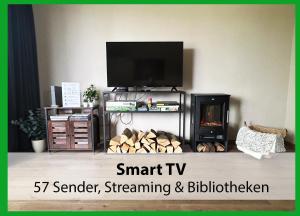 a living room with a flat screen tv and a fireplace at MARKs Ferienwohnung in Bad Sachsa - waldnah, hundefreundlich, ruhig! Ideal für Paare mit Hund in Bad Sachsa
