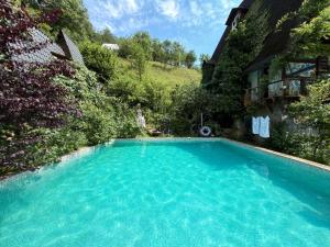 a large blue swimming pool in a yard at Suputnyk in Rakhiv