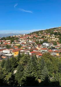 a view of a city with houses and trees at Hotel Klajdi in Peshkopi