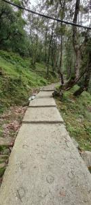 a path in the middle of a forest with trees at Fursat Exclusive Solitude in Rāmgarh