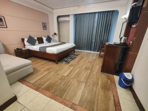 a hotel room with a bed and a television at Hotel Metro Regency Meerut in Meerut