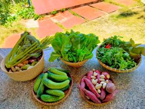 four baskets filled with vegetables on a table at Phu Yen Beachfront Fishing Village Homestay in Tuy Hoa